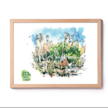 jardins-mossen-costa-i-llobera-cactus-garden-original-watercolor