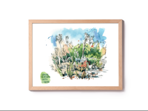 jardins-mossen-costa-i-llobera-cactus-garden-original-watercolor