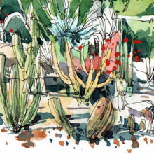 jardins-mossen-costa-i-llobera-cactus-garden-original-watercolor