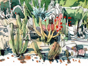 jardins-mossen-costa-i-llobera-cactus-garden-original-watercolor