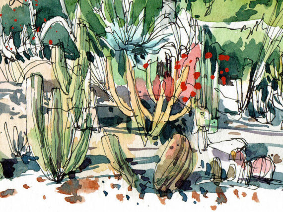 jardins-mossen-costa-i-llobera-cactus-garden-original-watercolor