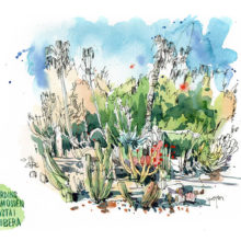 jardins-mossen-costa-i-llobera-cactus-garden-original-watercolor
