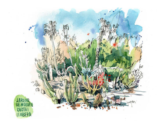 jardins-mossen-costa-i-llobera-cactus-garden-original-watercolor