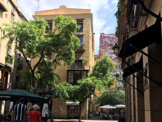 pl-de-les-olles-born-original-watercolor-print